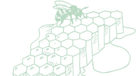 Light green Mary Kay skin care ingredient illustration of honeycomb with a bee