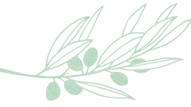 Light green Mary Kay skin care ingredient illustration of an olive oil plant