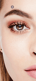 Close up of model with dotted line indicating where to place the Mary Kay Eyebrow/Eyeliner Brush during the second step of brow mapping.